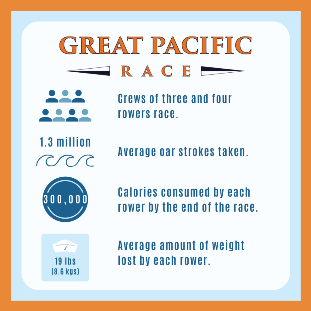 Work sample: Race infographic design